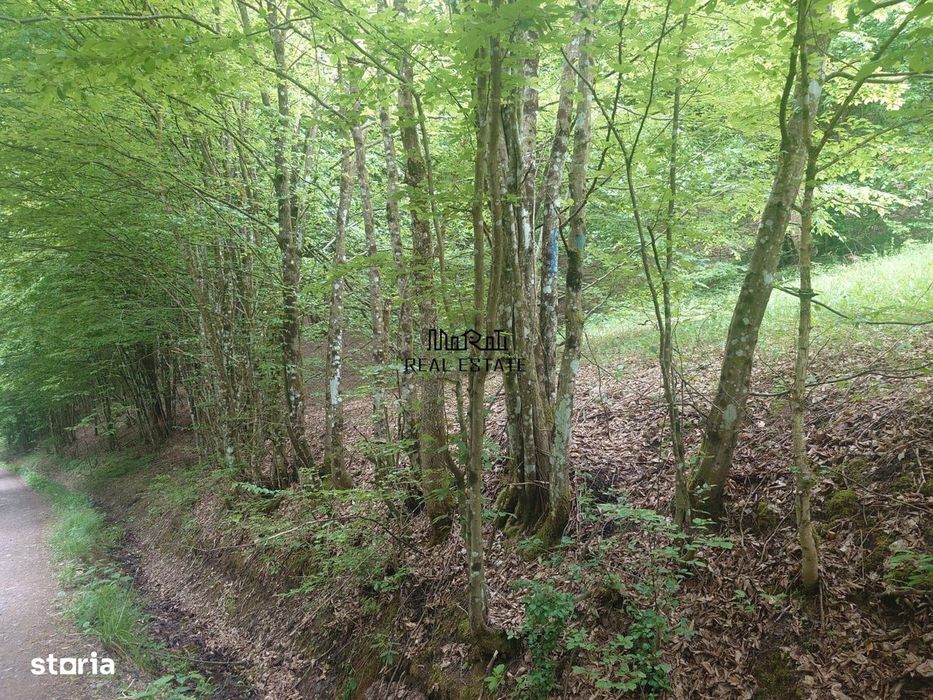 Teren in Bulzestii de Sus 3700mp