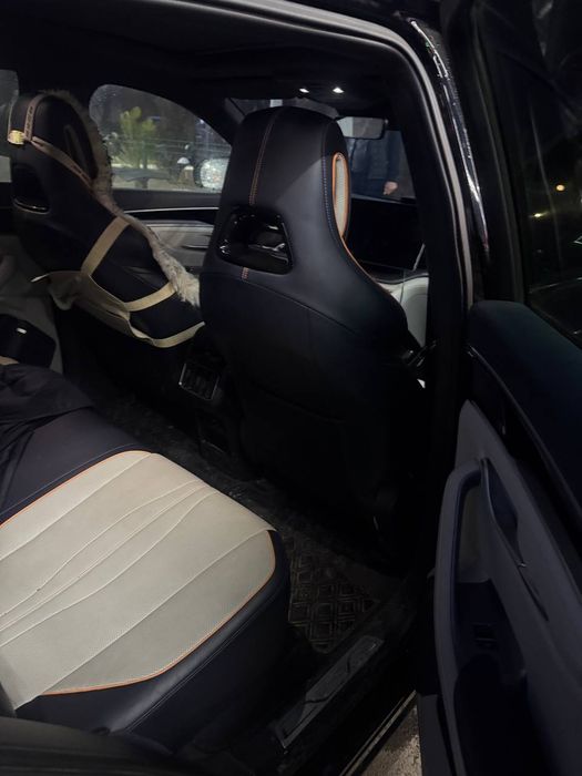 BYD Champion Electric