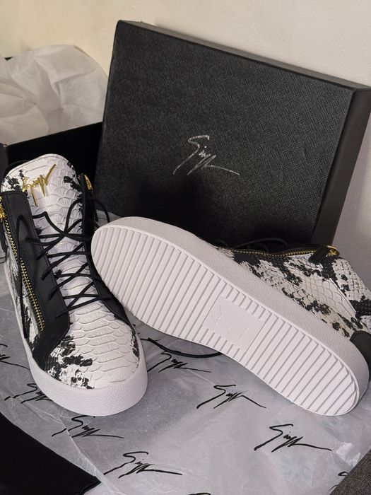 Giuseppe Zanotti