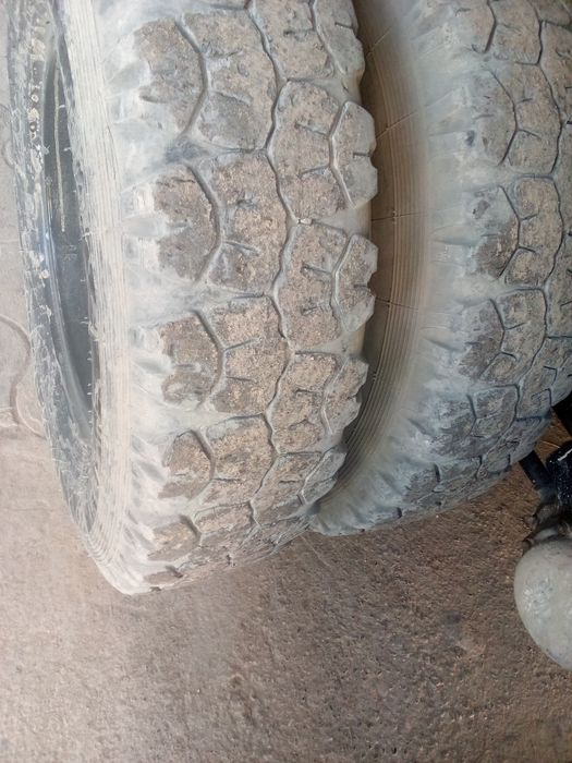 Balon 260                                    .