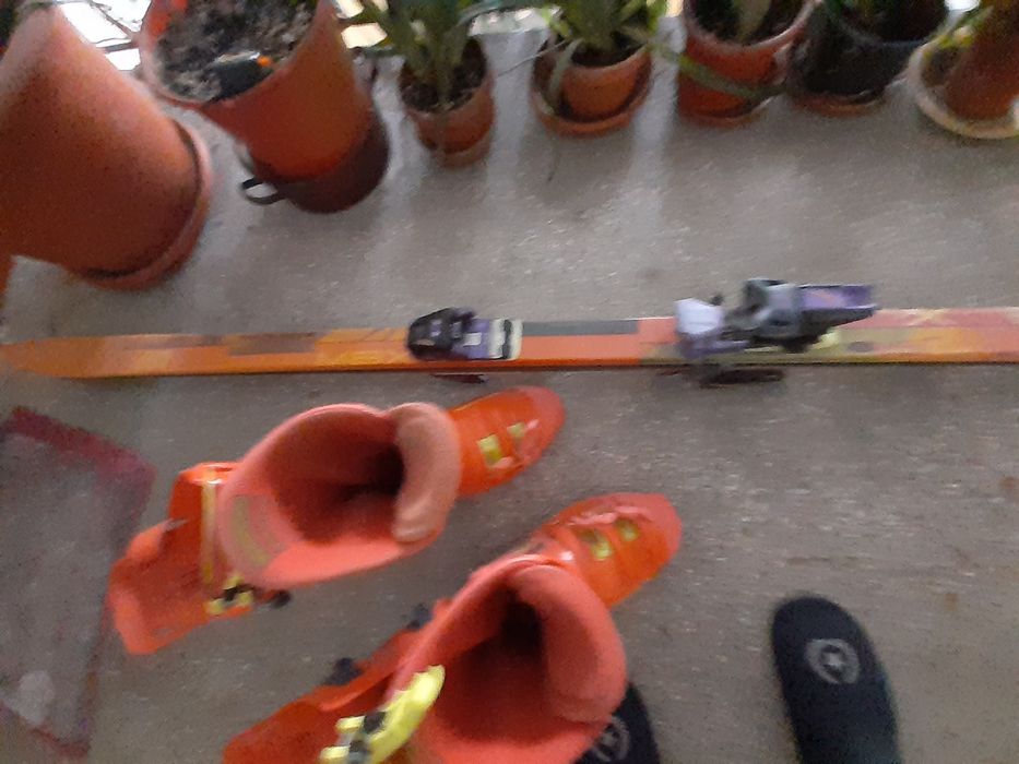 Schiuri cu clapari și   bete