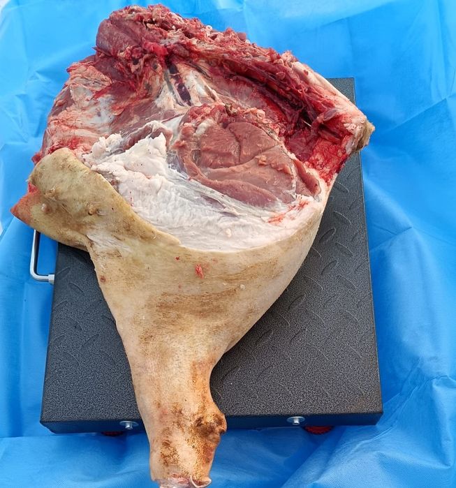 Продам свинину 2100тг