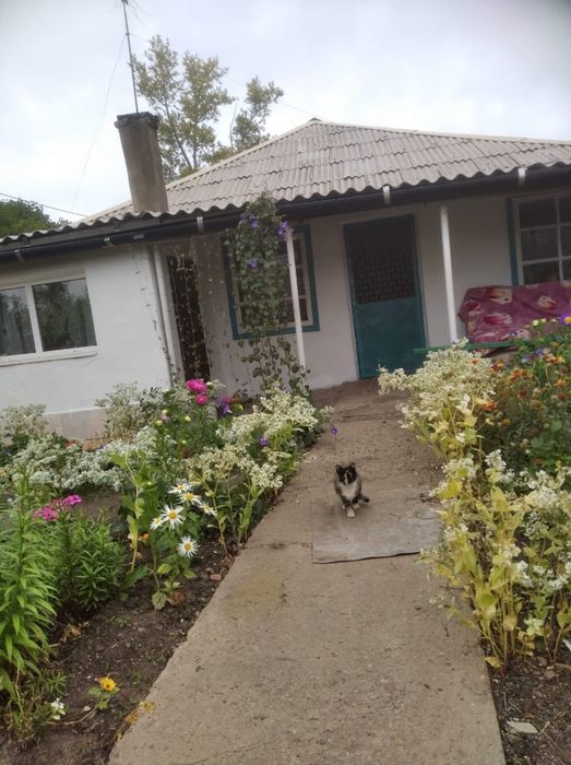 Продажа или обмен