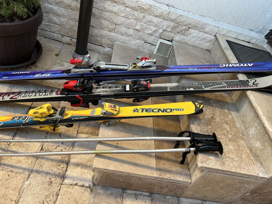 Schiuri adulti si copii