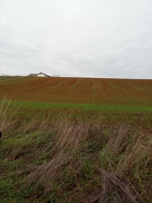 Vând 1 ha Les+ Nojorid cartier nou