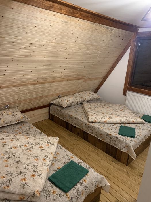 Cabana de închiriat A frame Maramures Prislop