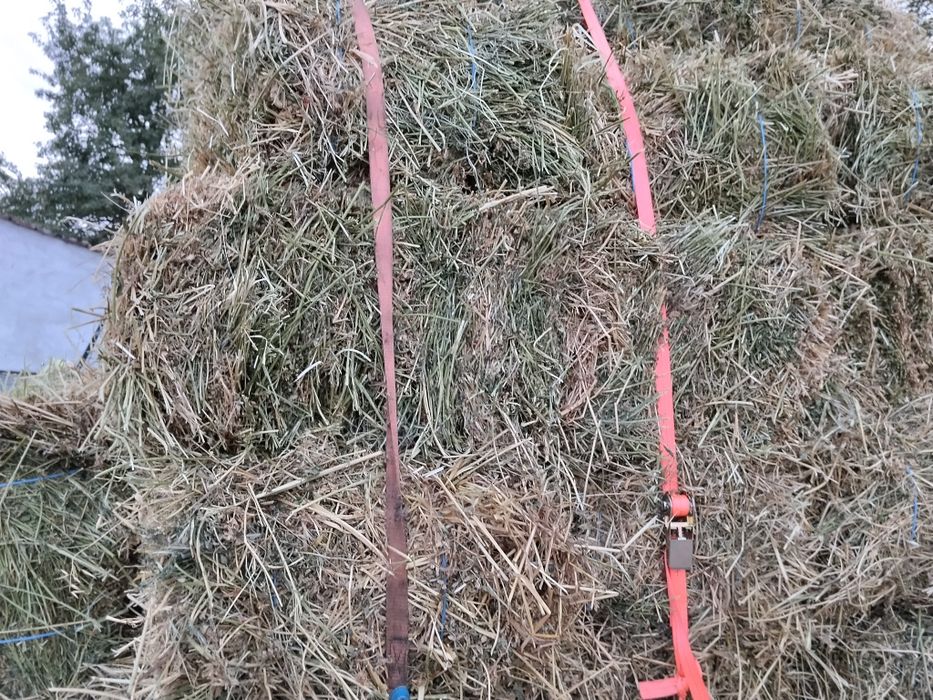 Продавам Балли Чиста Люцерна