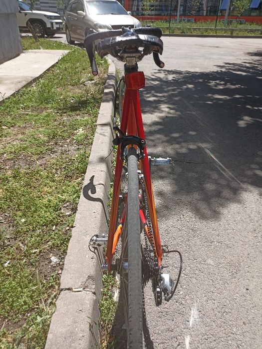 Panther Pro Race 6000 XL