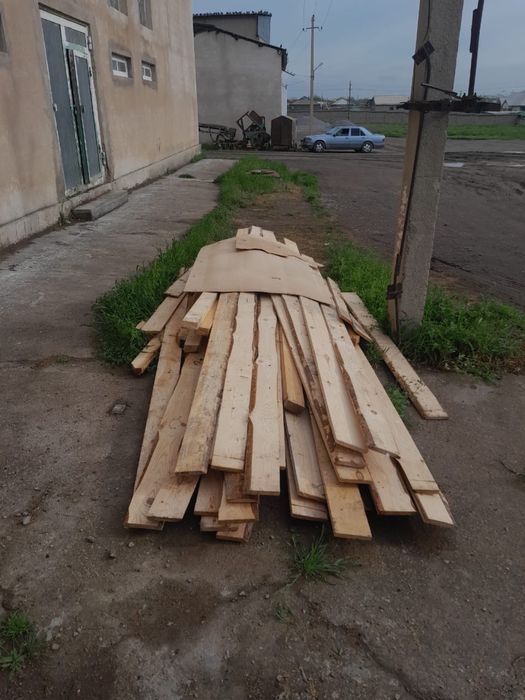 Ағаштар бар       .