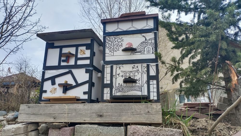 Продам мини пасику  пчёлы с ульями Карника  Бакфаст