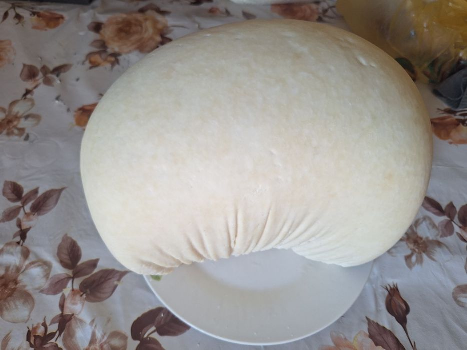 Vând brânză de oaie amestecată cu capră