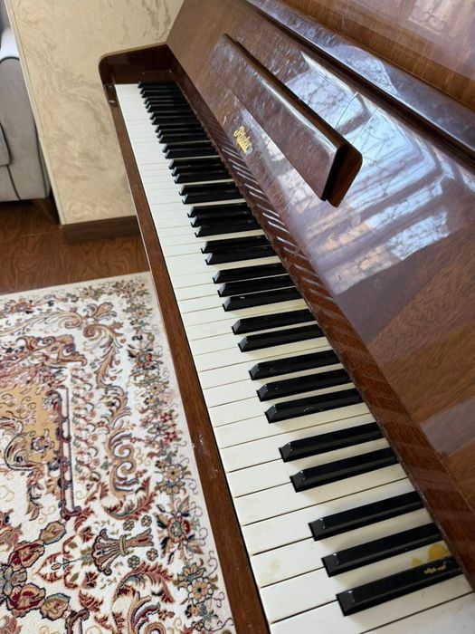 Пианино жағдайы жақсы