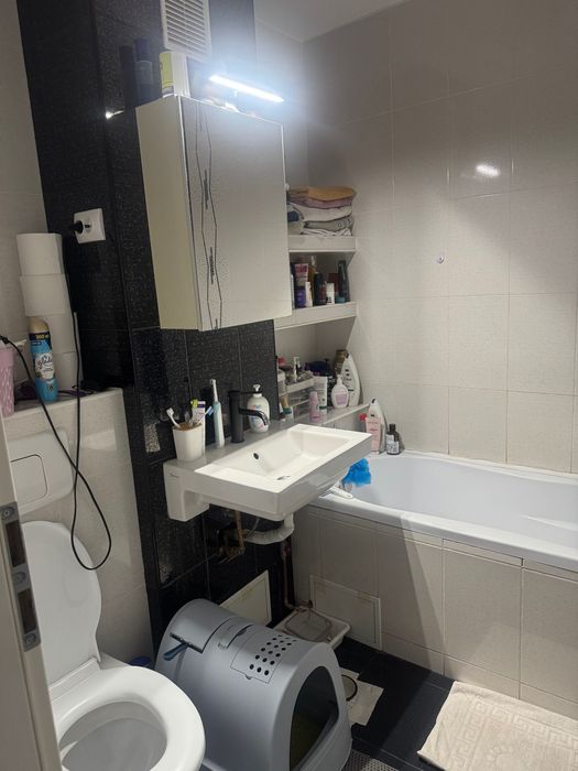 Apartament Timisoara