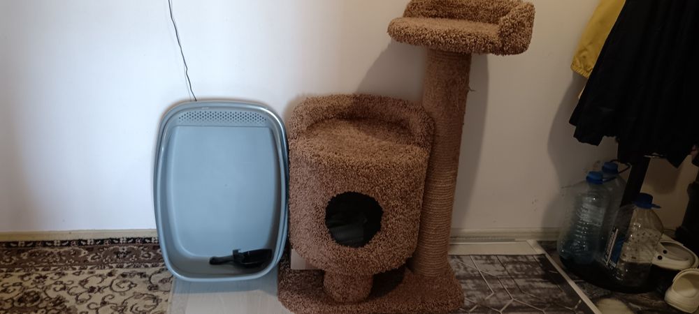 Домик для кошек и котов