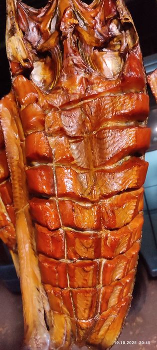 Рыбацкаядағы жезөкшелер