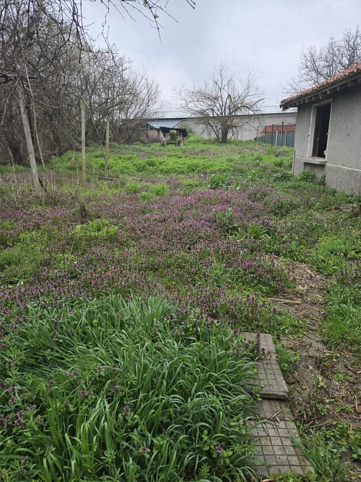 Продава се Къща в с. Ръжево, Област Пловдив - 200 кв.м за 102 €/кв.м - Снимка #15