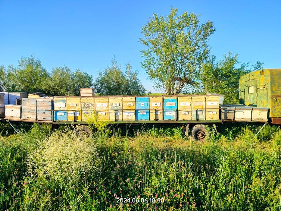 Продам прицеп с пчелосемьями
