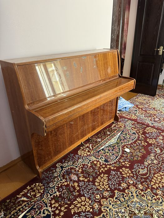 pionina kelishilgan narxda beraman