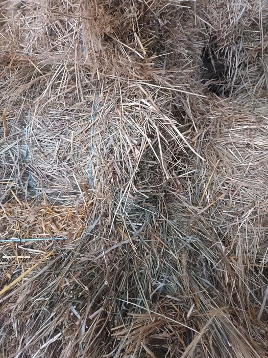 Baloti de paie și fân