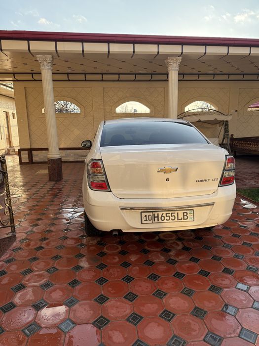 Cobalt 2025/2026 Midnight