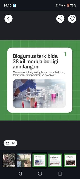 Калифорния чувалчанги калифорнийский червы