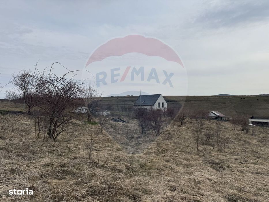 Teren intravilan 2307 mp în Salicea, zona premium, aproape de Cluj