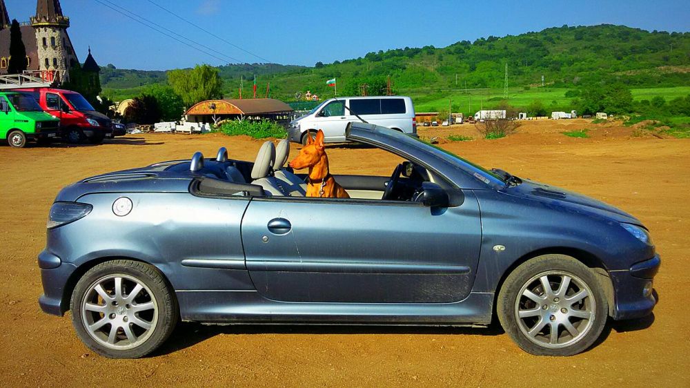 Peugeot 206 CC 1,6 HDI Allure