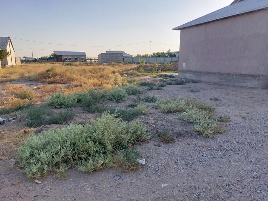 Termiz tumani ximiyada srochno 4 sotix yer sotiladi