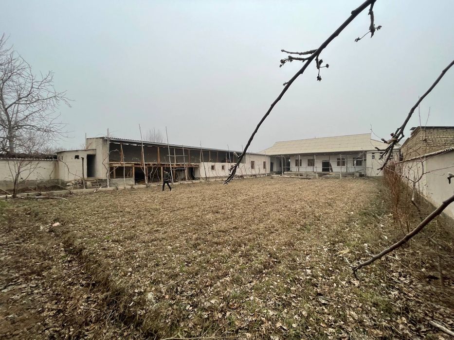 Арентр  Кушчи, парчайуз, 5 - Чи