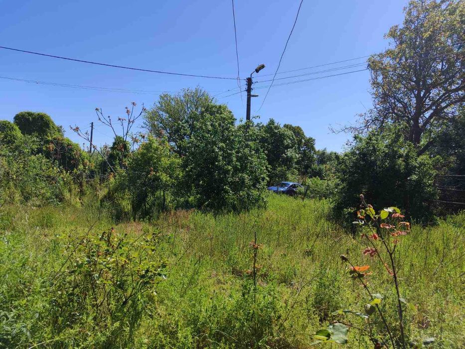 Продава се Къща в с. Нейково, Област Добрич - 80 кв.м за 319 €/кв.м - Снимка #7