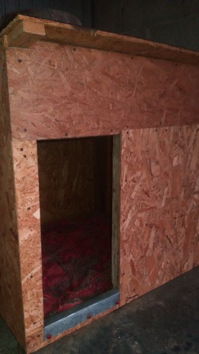 Cazare caini si catei