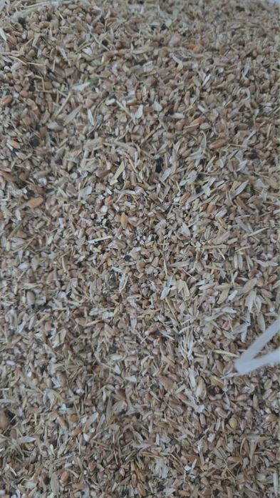 Продам сечку пшеницы