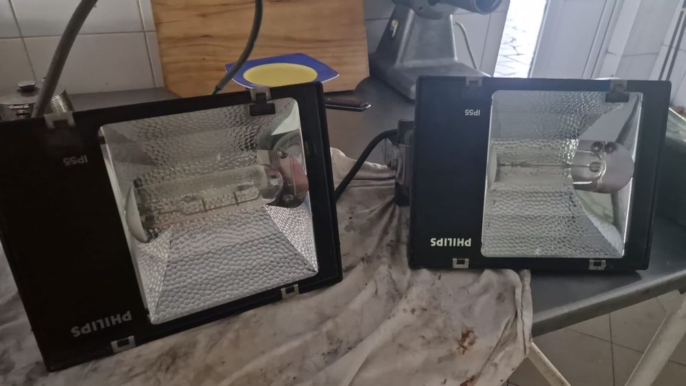 Proiectoare exterioare Philips