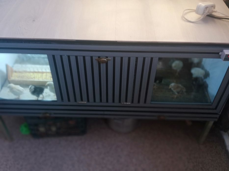 Продам.   Брудер