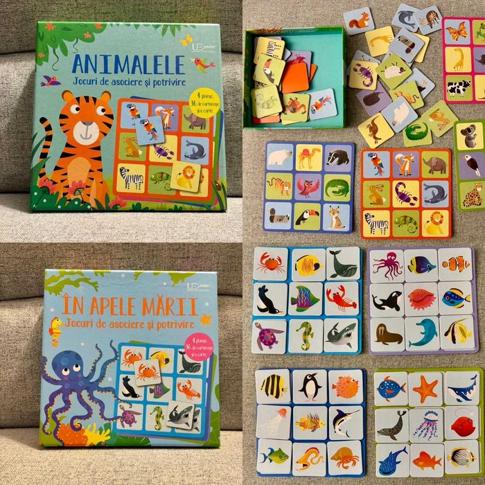 Set de 2 jocuri educative Usborne in limba romana