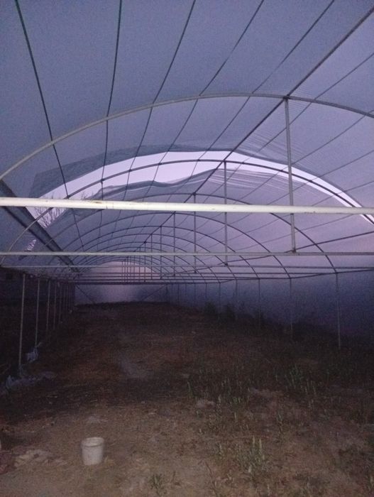 Иссикхона сотилади 3 соток