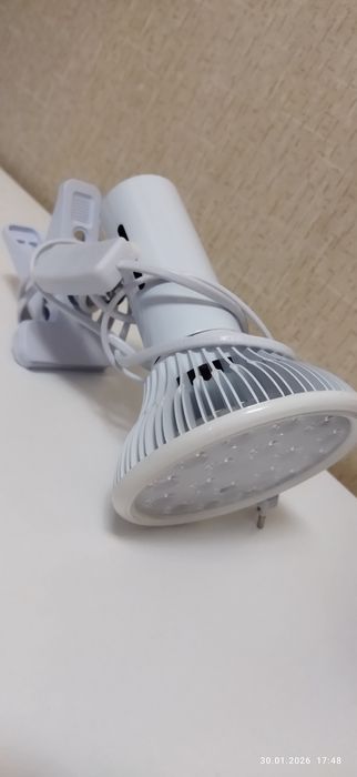 Аренда фотолампа