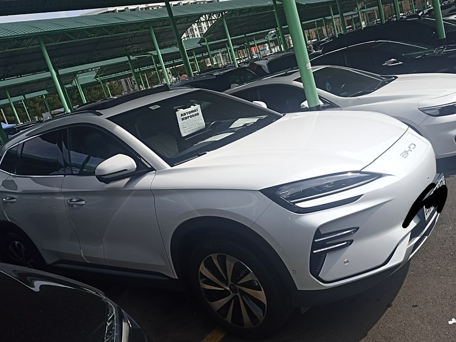 BYD Chempion 605 km eng Fuli