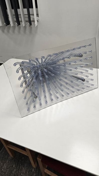 Semanatoare universala legume (varză/conopida/ridiche)pentru alveole