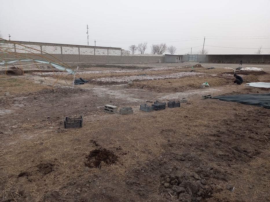 АКЦИЯ: КР: 650000