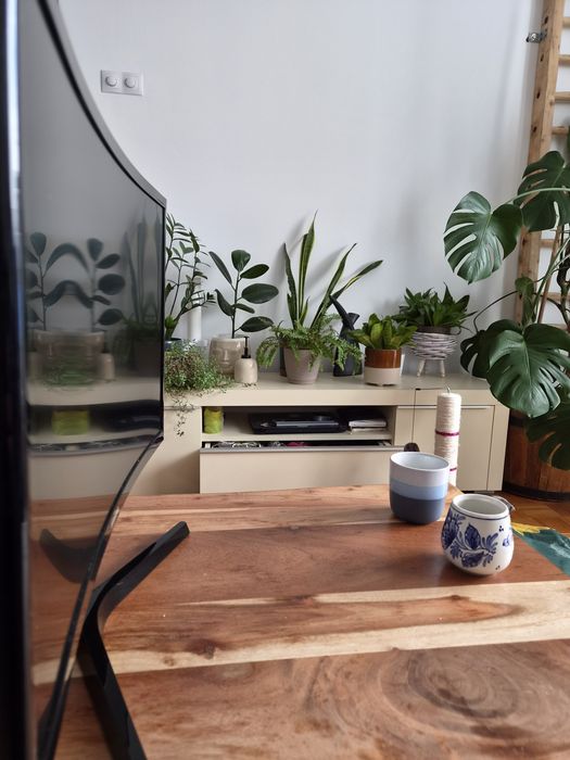 Monitor curbat Samsung
