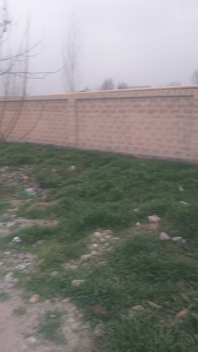 Yangihayot tumani Binokor maxalasida 5 sotik er sotiladii