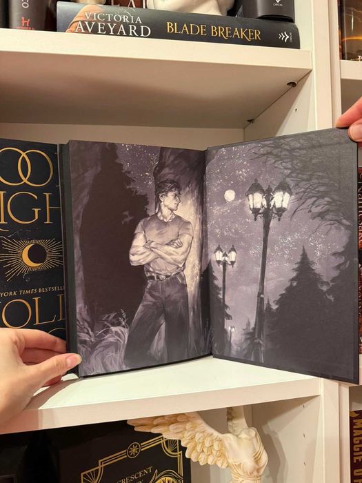 Book of Night-Holly Black -  луксозни  ексклузивни издания - НОВО