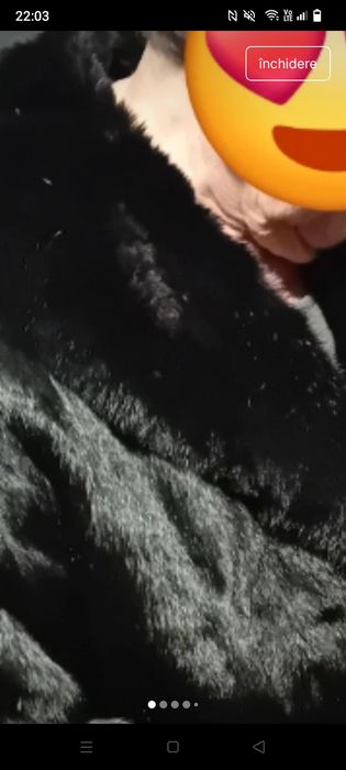 Blana naturala mărime mare