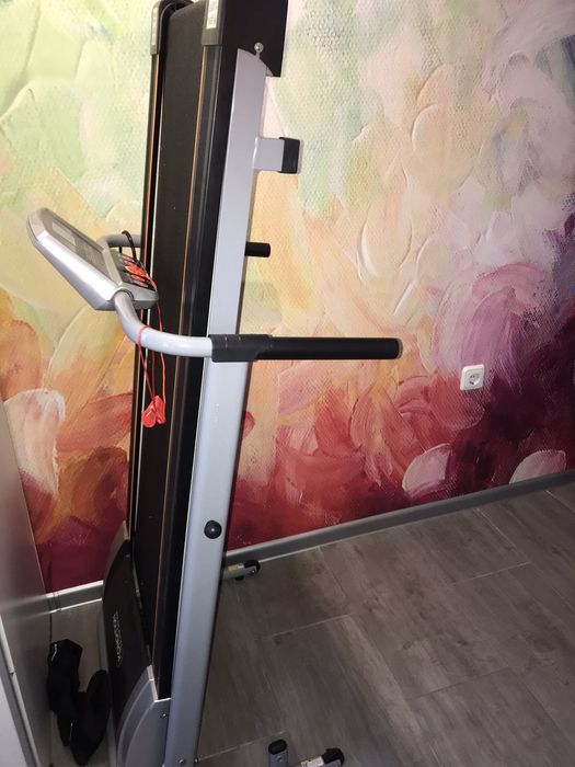 Електрическа пътека