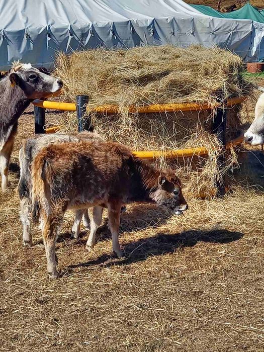 Хранилки за бали сено