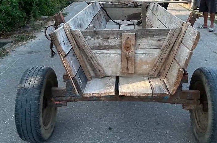 Iapă 9 ani curata