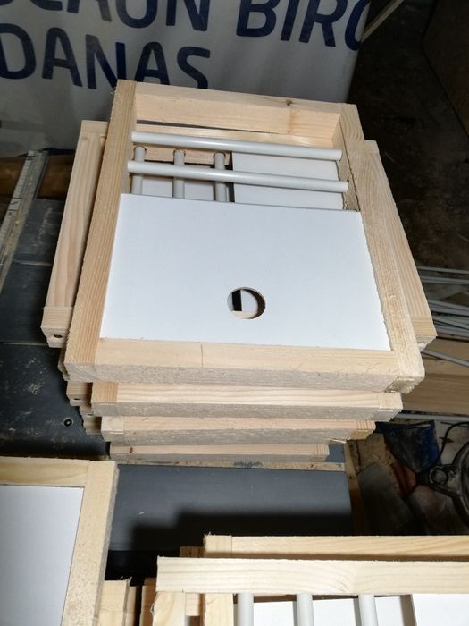 Fete de boxe porumbei