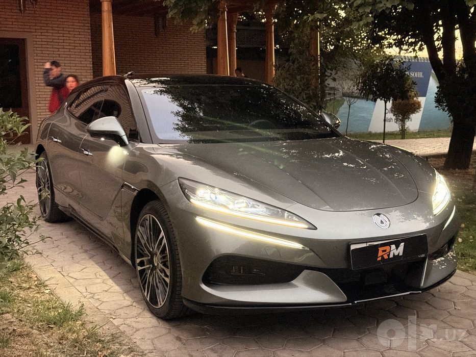 Denza Z9  holati idial