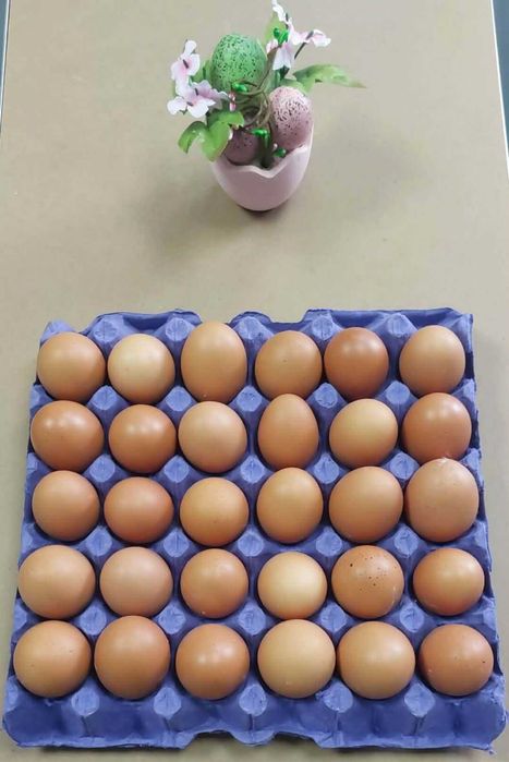 Яйца - бели и кафяви